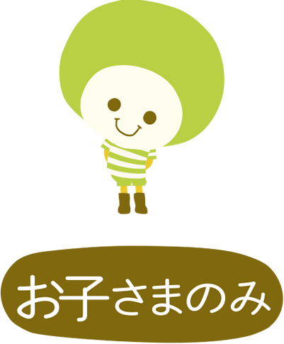 お子さまのみ